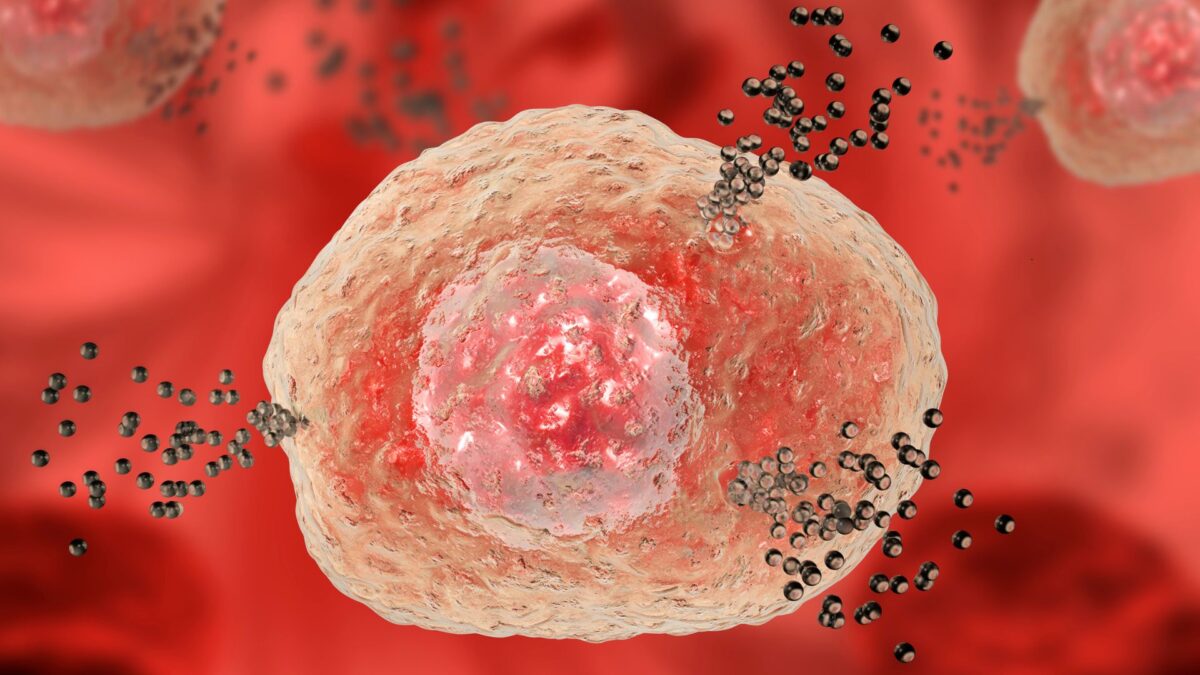 histamine cell during an allergic reaction
