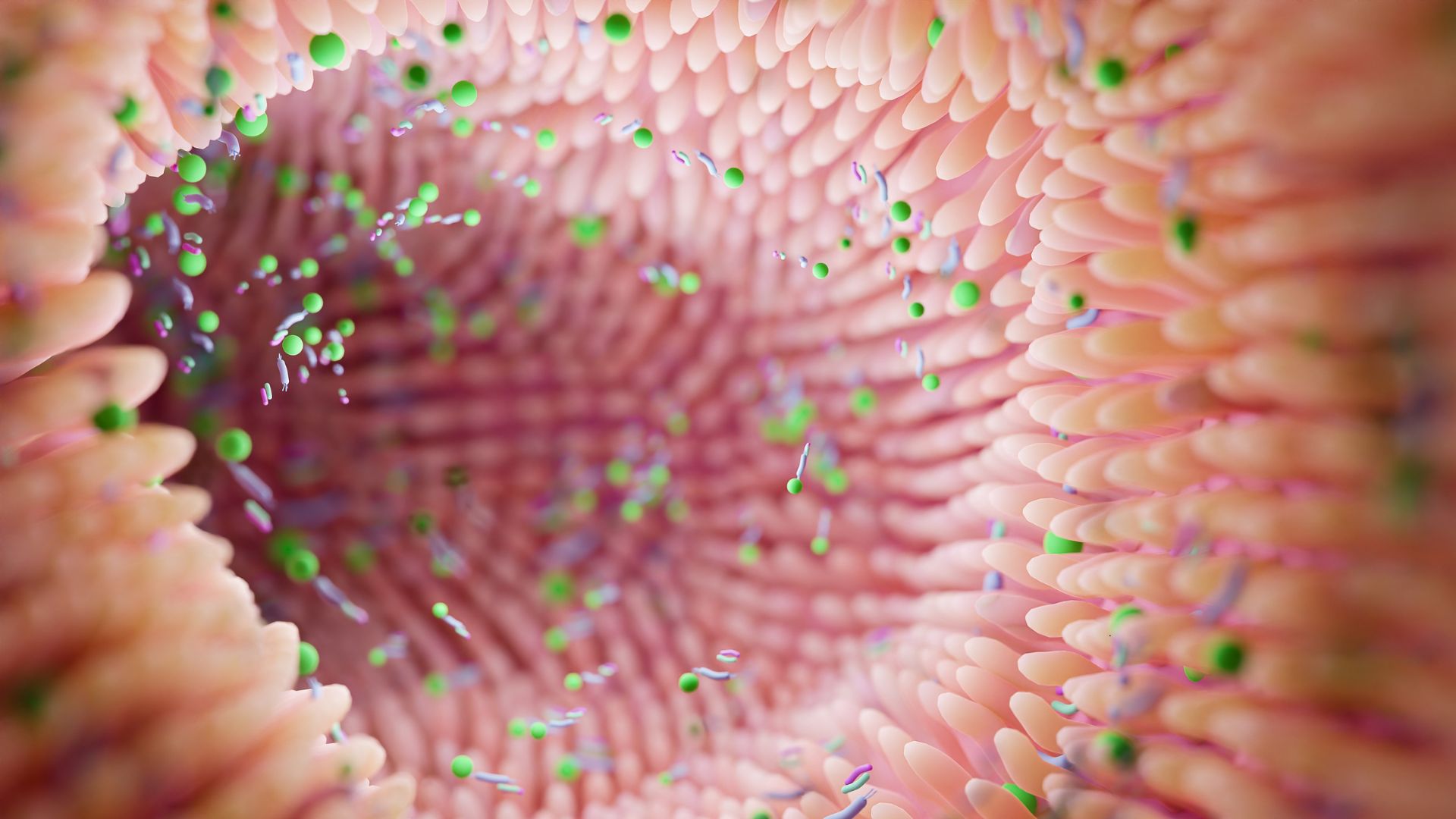 microbiome leaky gut