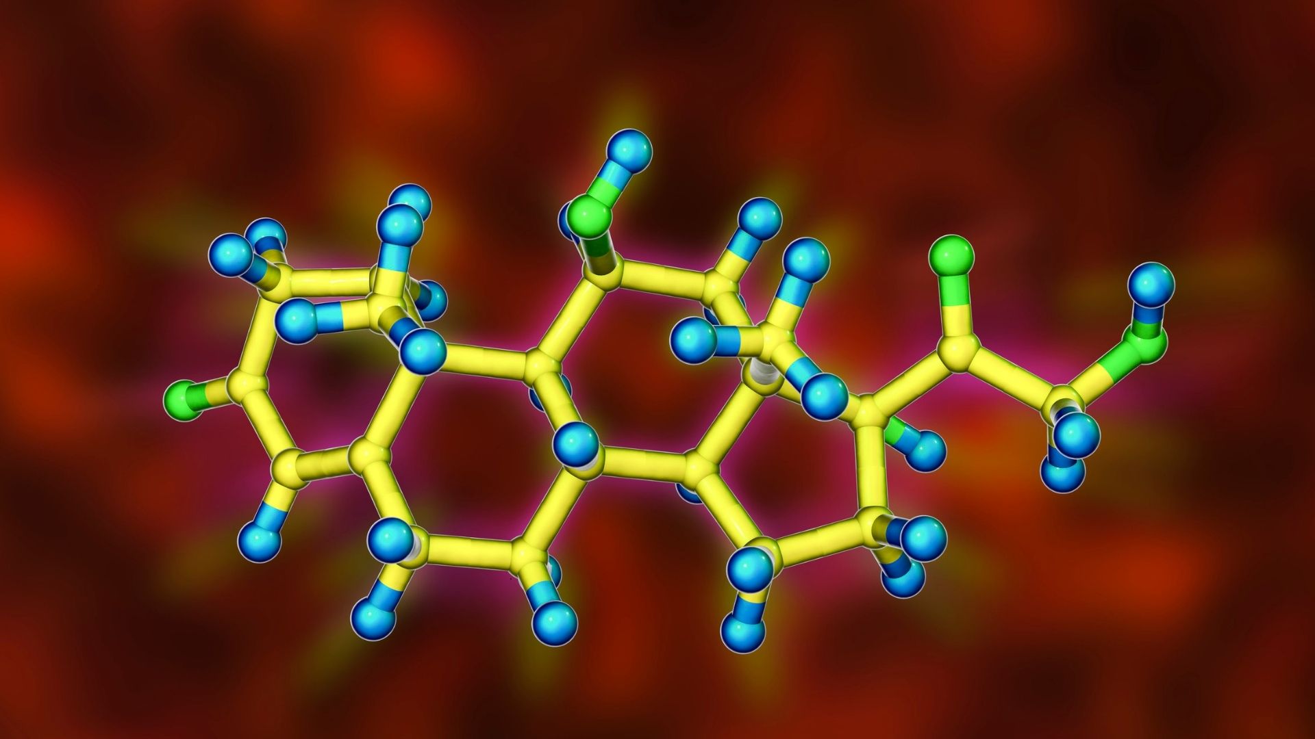 cortisol hormone